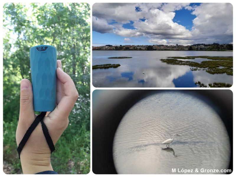 Avistamiento de una garceta con un monocular sin ajuste en la ría do Burgo (Camino Inglés).