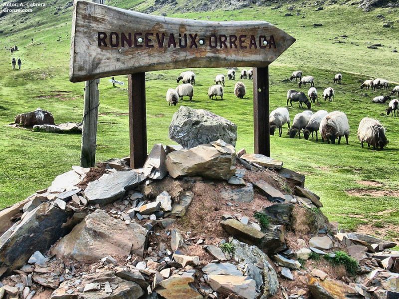Etapa de Saint-Jean-Pied-de-Port a Roncesvalles