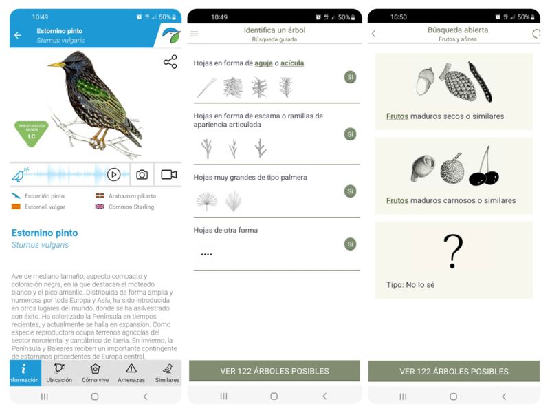 Ficha de un ave en la app Aves de España y búsqueda guiada y abierta de árboles silvestres en Arbolapp.