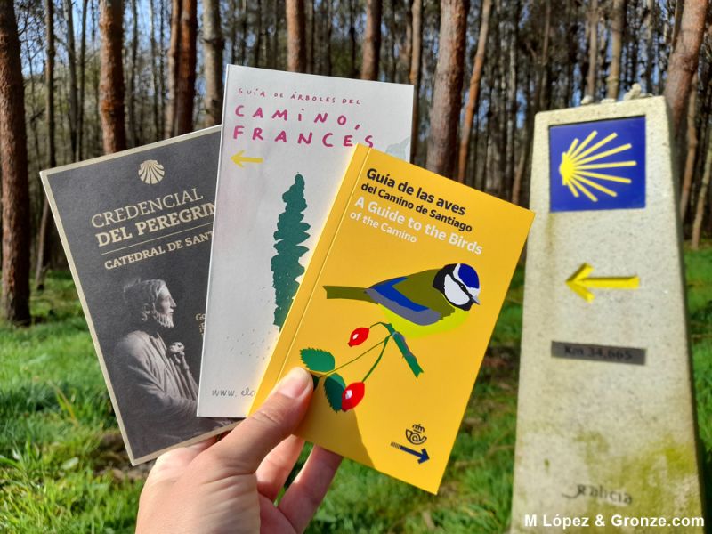 Guías de Correos sobre árboles y aves del Camino de Santiago.