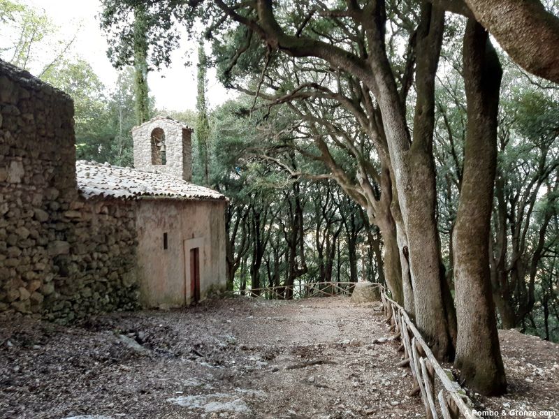 Salida de Monteluco Salida de Monteluco