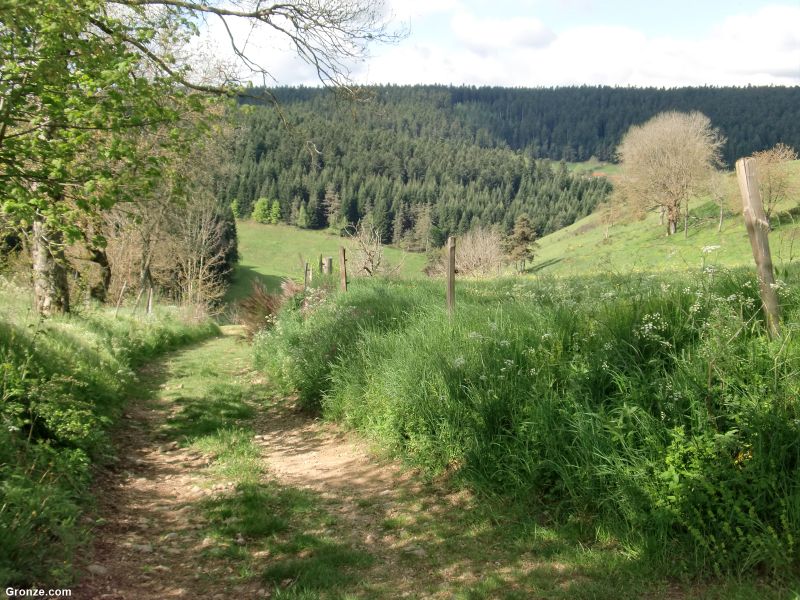 Montes de Velay, de camino a Montfaucon-en-Velay