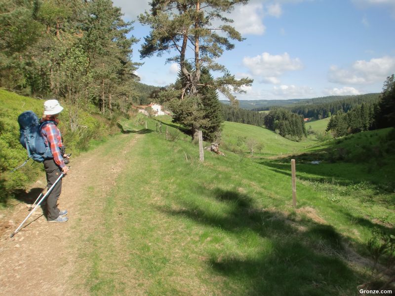 Bonito camino entre Les Sétoux y Montfaucon-en-Velay