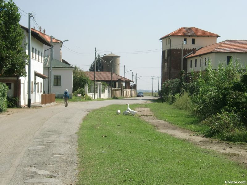 Montonero, cerca de Vercelli