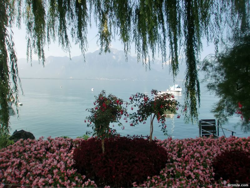 Lago Lemán desde el paseo de Montreux Lago Lemán desde el paseo de Montreux