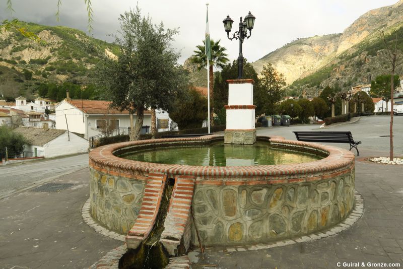 Pilón y alberca en el pueblo de Olivares Pilón y alberca en el pueblo de Olivares