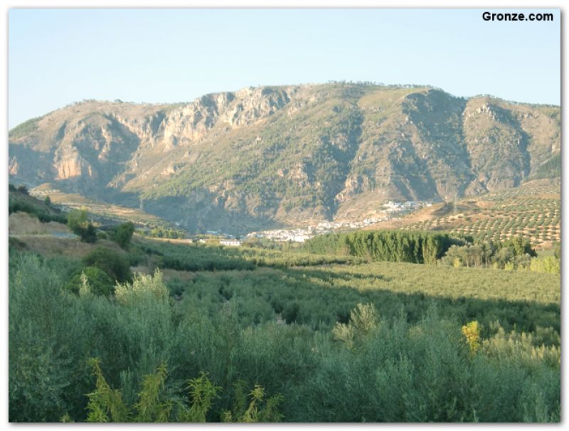 El pueblo de Olivares, al fondo