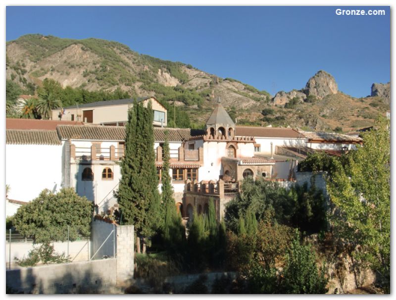 Olivares