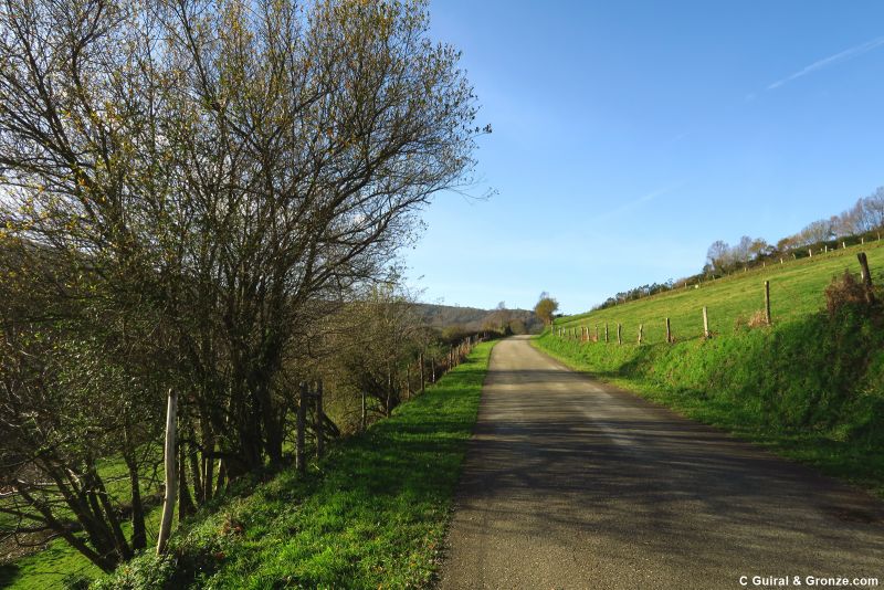 Recorrido entre prados cerca de Lousada
