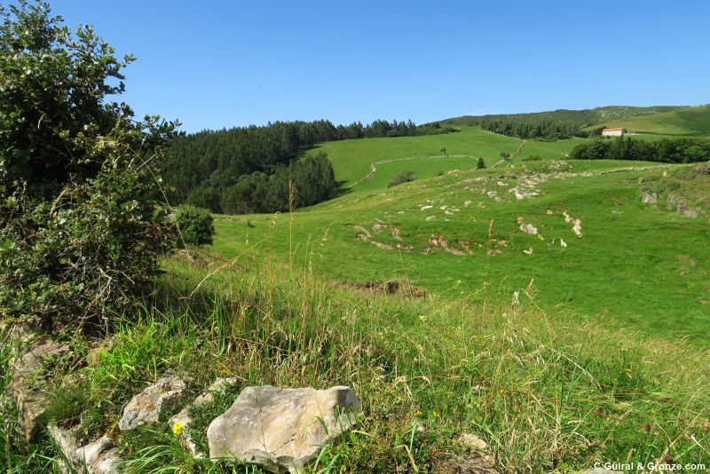Paisaje rural de camino hacia El Arroyo
