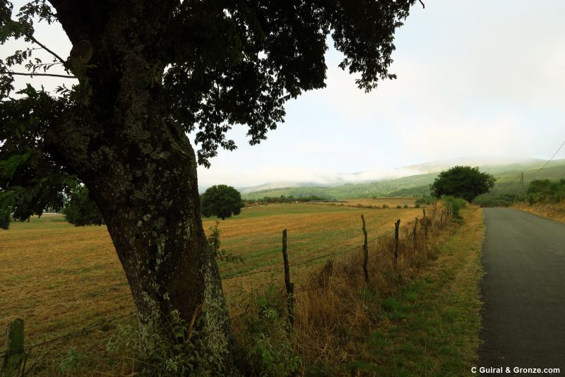 Paisaje matutino llegando a Penasillás