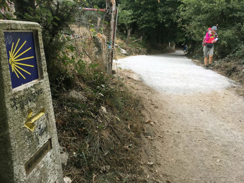 Alteración en el Camino Francés, concello de Paradela