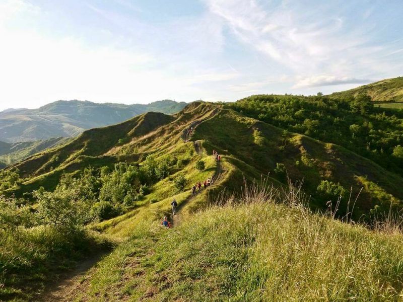 Parco regionale dei Calanchi dell'Abbadessa