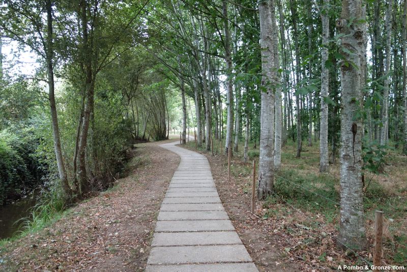 Del Parque da Nogueiras a la Ponte do Barril
