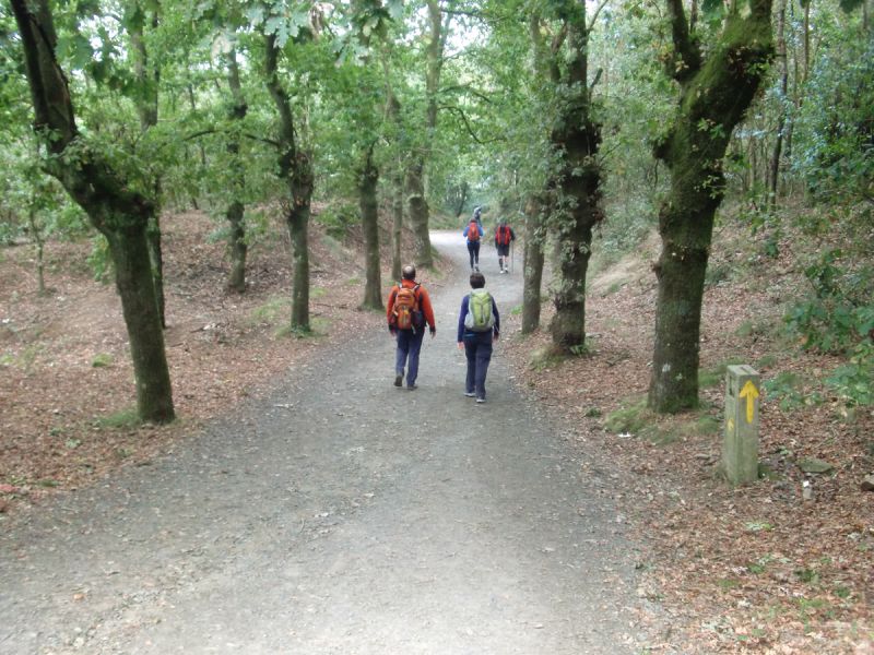 De camino a Pedrouzo