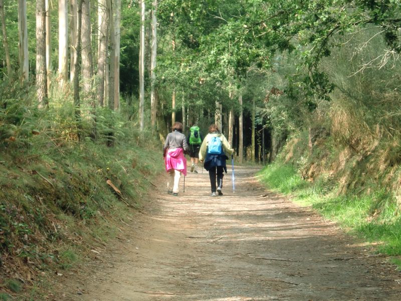 De camino a Pedrouzo