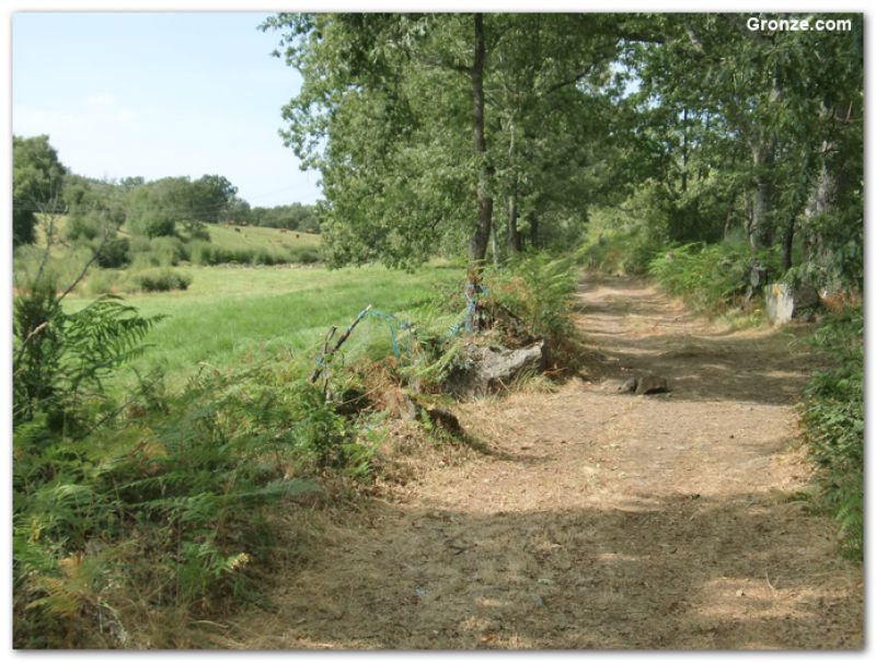 De camino a O Pereiro