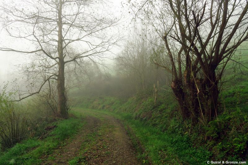 Camino hacia Santiago de Abres