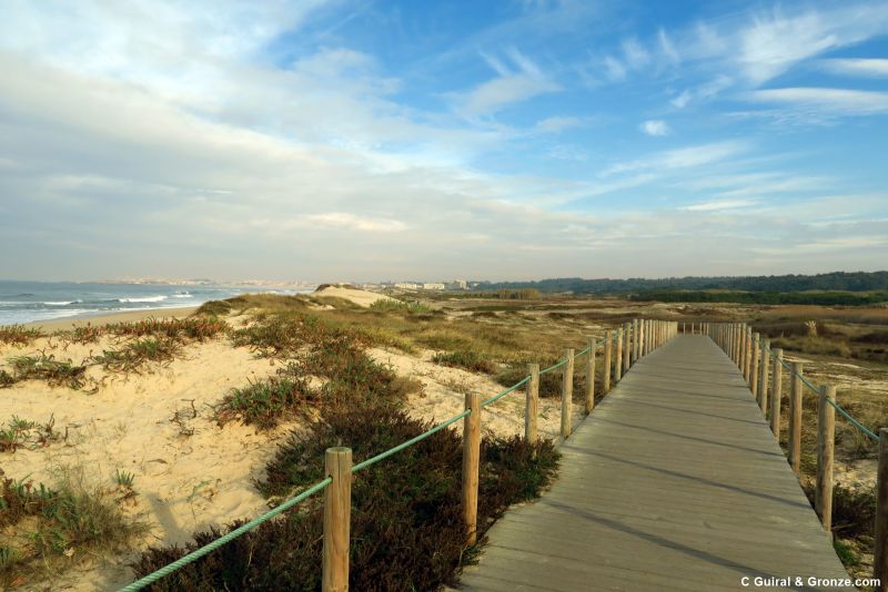 Pasarelas y dunas camino hacia la playa de Árvore