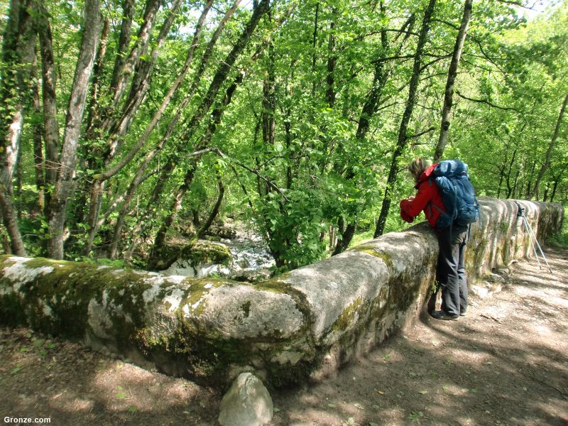 Pont de la Cascade, entre Contamine-Sarzin y Chaumont