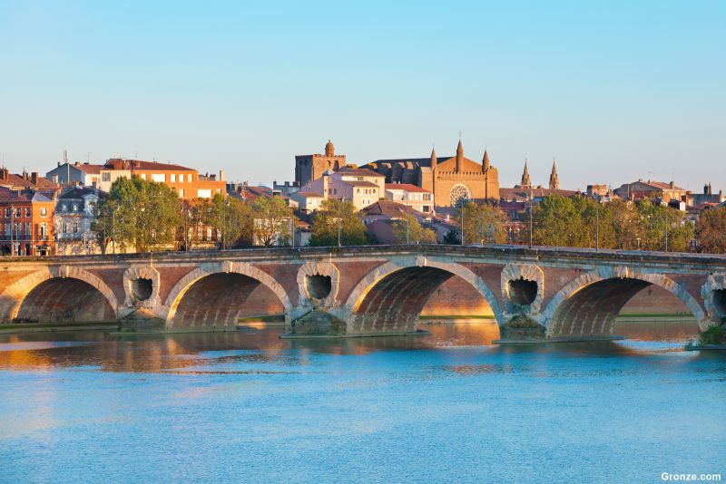 Pont Neuf, Toulouse