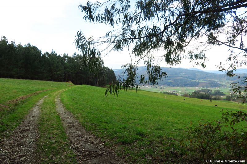 Camino entre prados, hacia Santo Tomé de Lourenzá