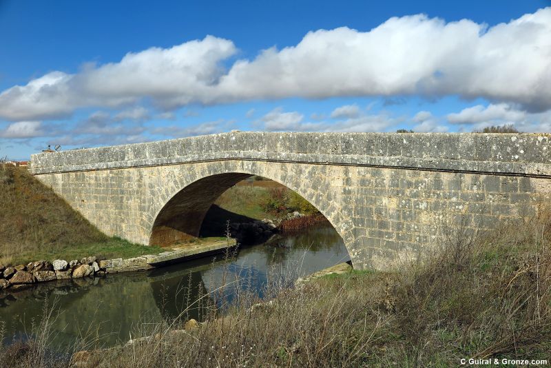 Puente de Requena de Campos
