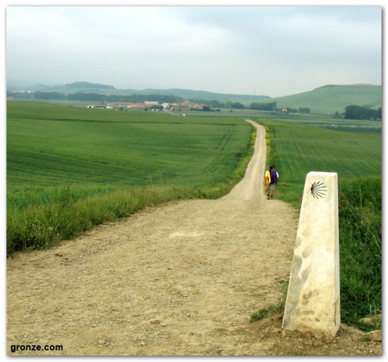 Bajando a Redecilla del Camino