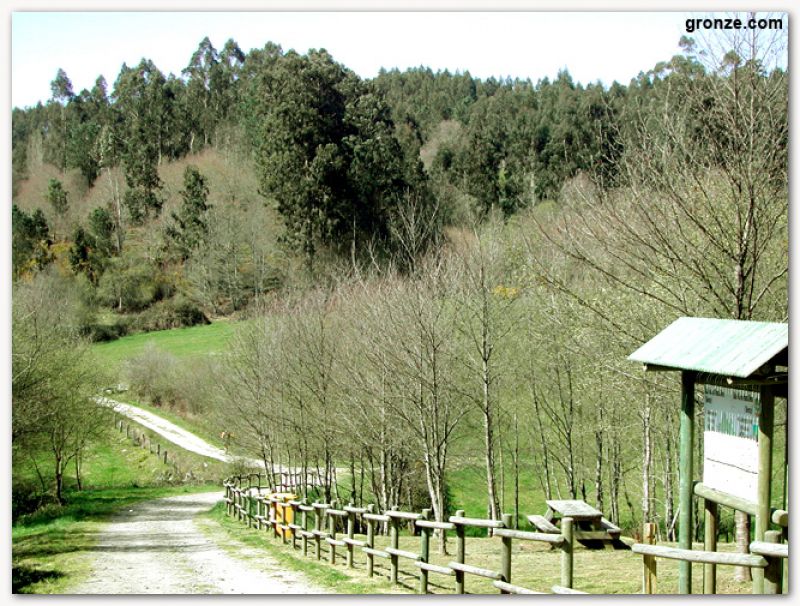 De camino a Ribadiso de Baixo, entre Melide y Arzúa