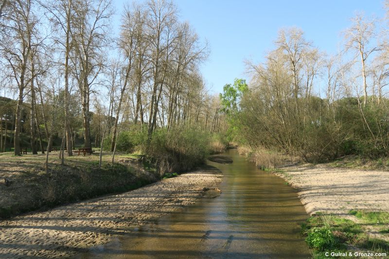 Cauce del río Adaja