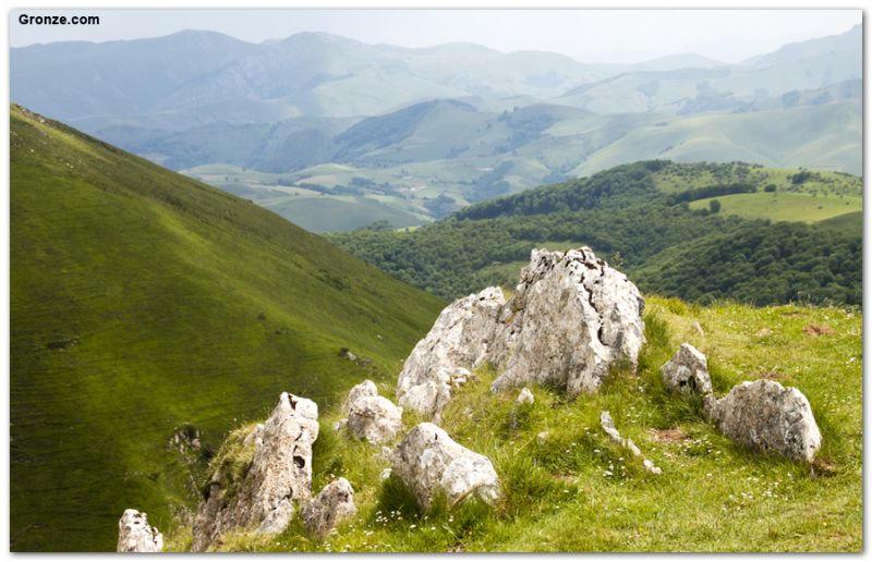 De camino a Roncesvalles