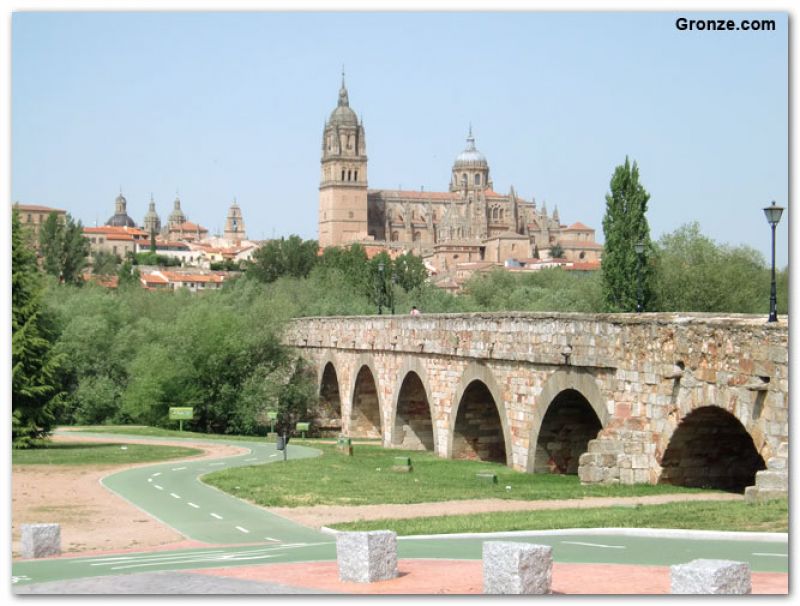 Puente romano sobre el río Tormes y Catedral Vieja, Salamanca
