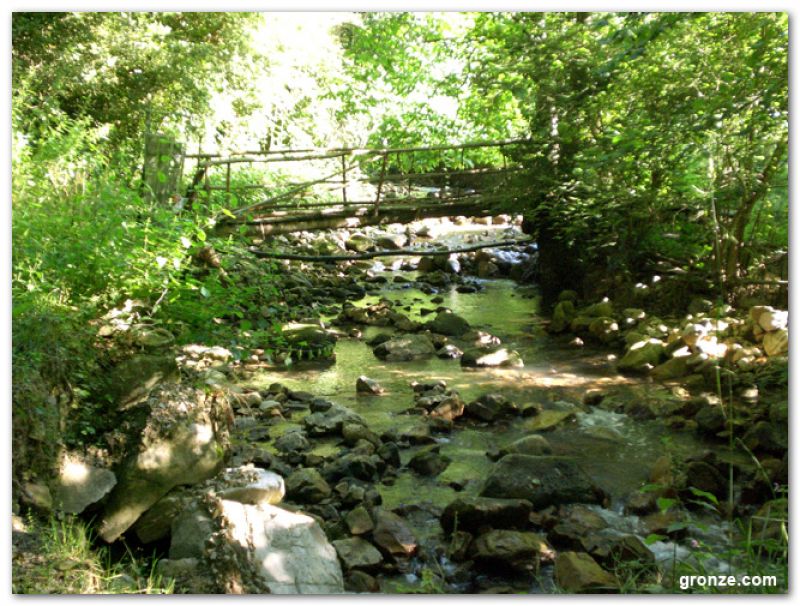 Río Nonaya, en la salida de Salas Río Nonaya, en la salida de Salas