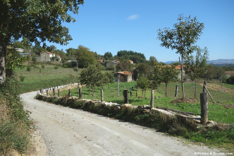 Salida de la aldea de Domiz