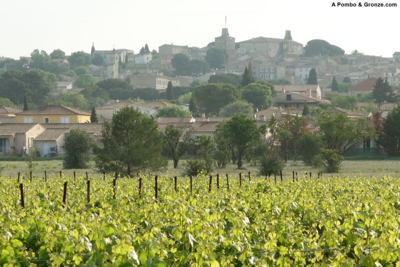 Salida de Gallargues-le-Montueux