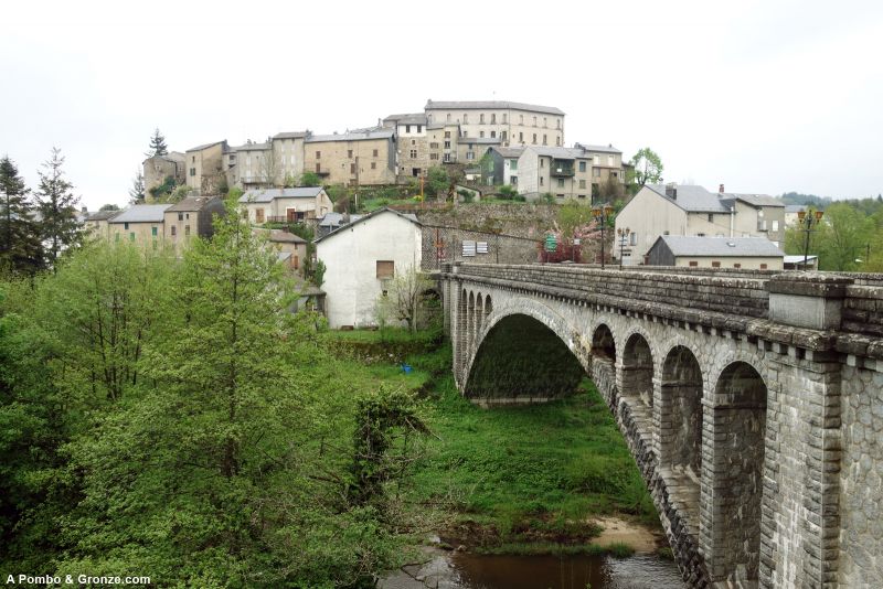 Puente sobre el Agout y casco antiguo, La Salvetat-sur-Agout