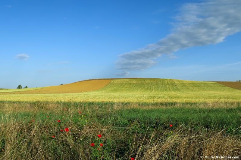 Saliendo de Santervás de Campos