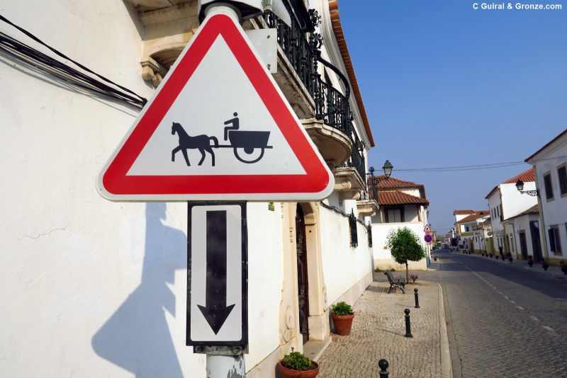 Curiosa señalización en las calles de Golegã