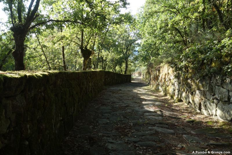 Subida de San Lázaro (Verín) a Monterrei
