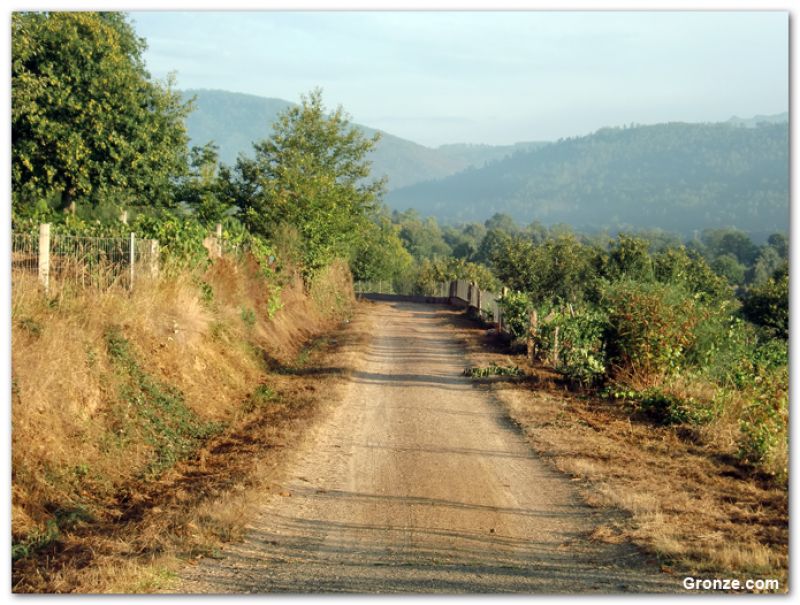 De camino a Tamicelas