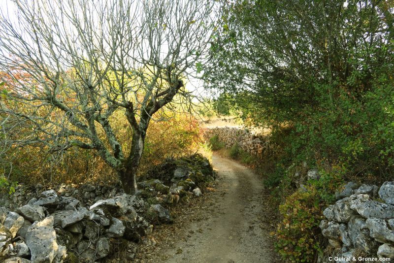 Bonito tramo entre muros de piedra