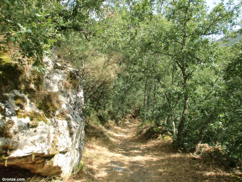 Calzada romana, de camino a Valdoré