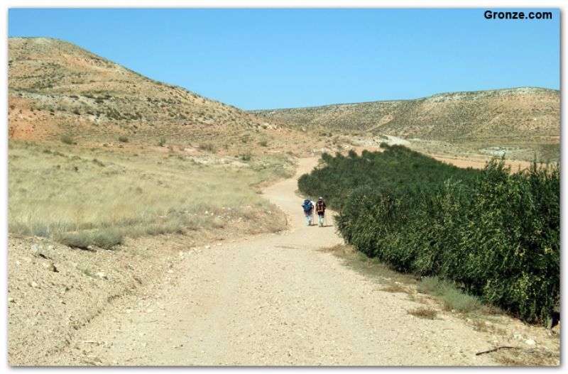De camino a Velilla de Ebro (variante directa)