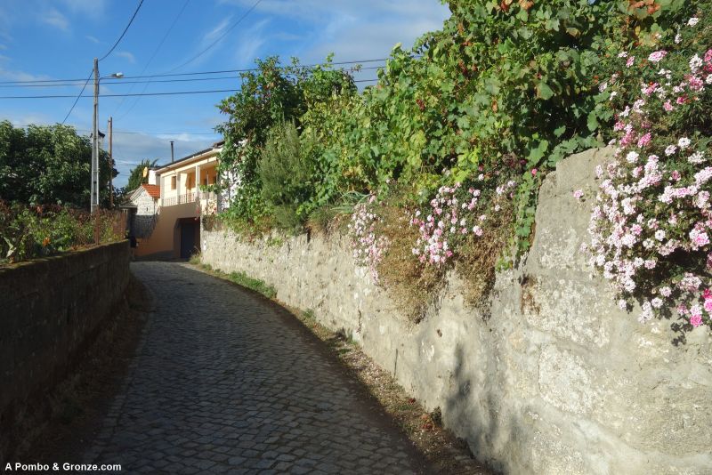 Vila Boa