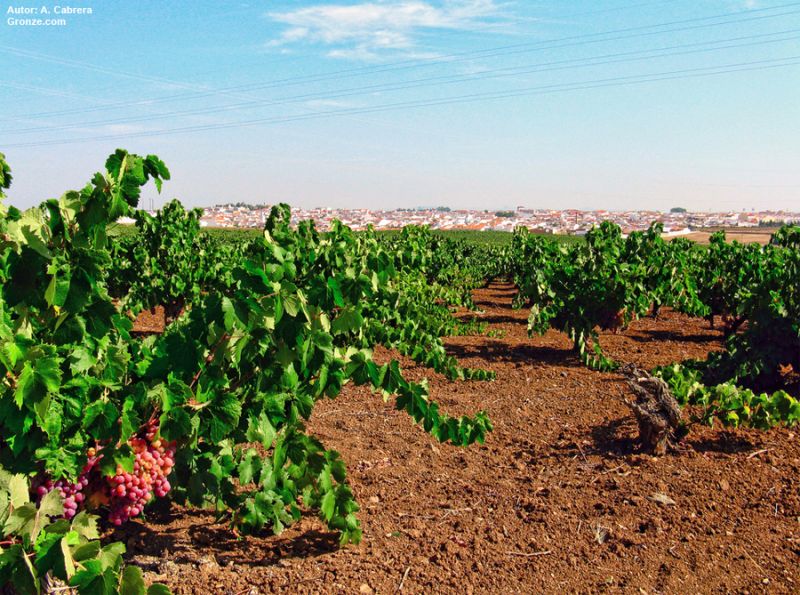Villafranca de los Barros
