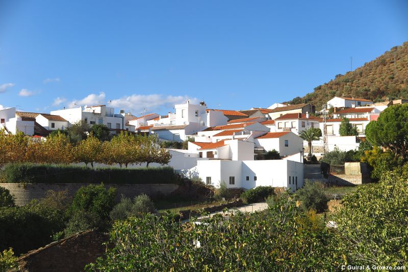 Casas del pueblo de Villaharta