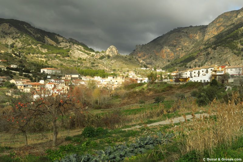 Vista del pueblo de Olivares