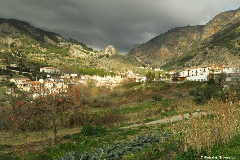 Vista del pueblo de Olivares Vista del pueblo de Olivares