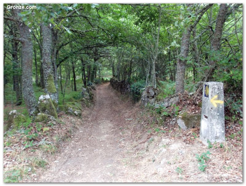 De camino a Xunqueira de Ambía