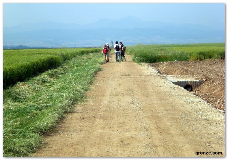 De camino a Zarratón